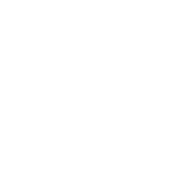 Professional Development