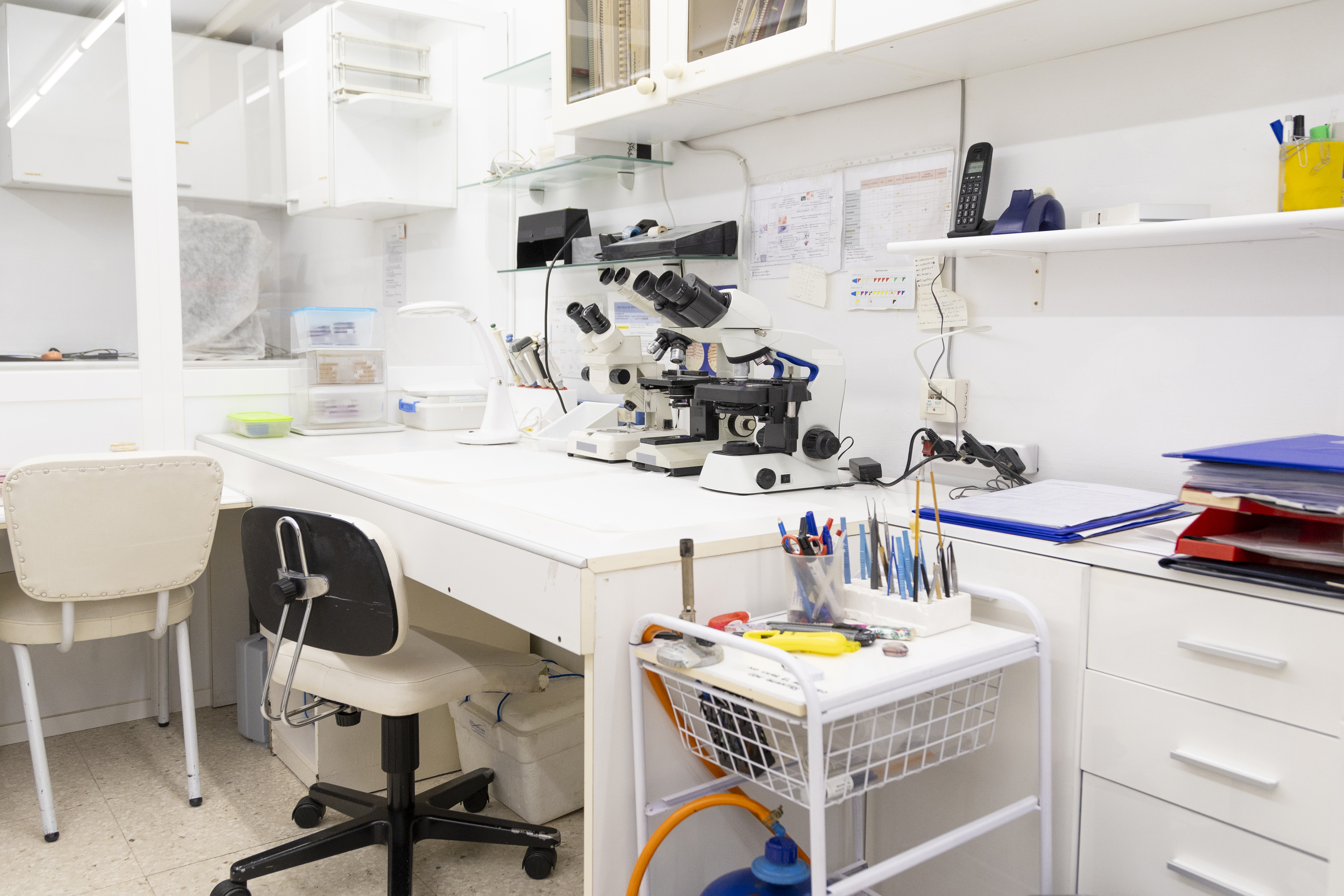 Advanced Ophthalmic Expertise